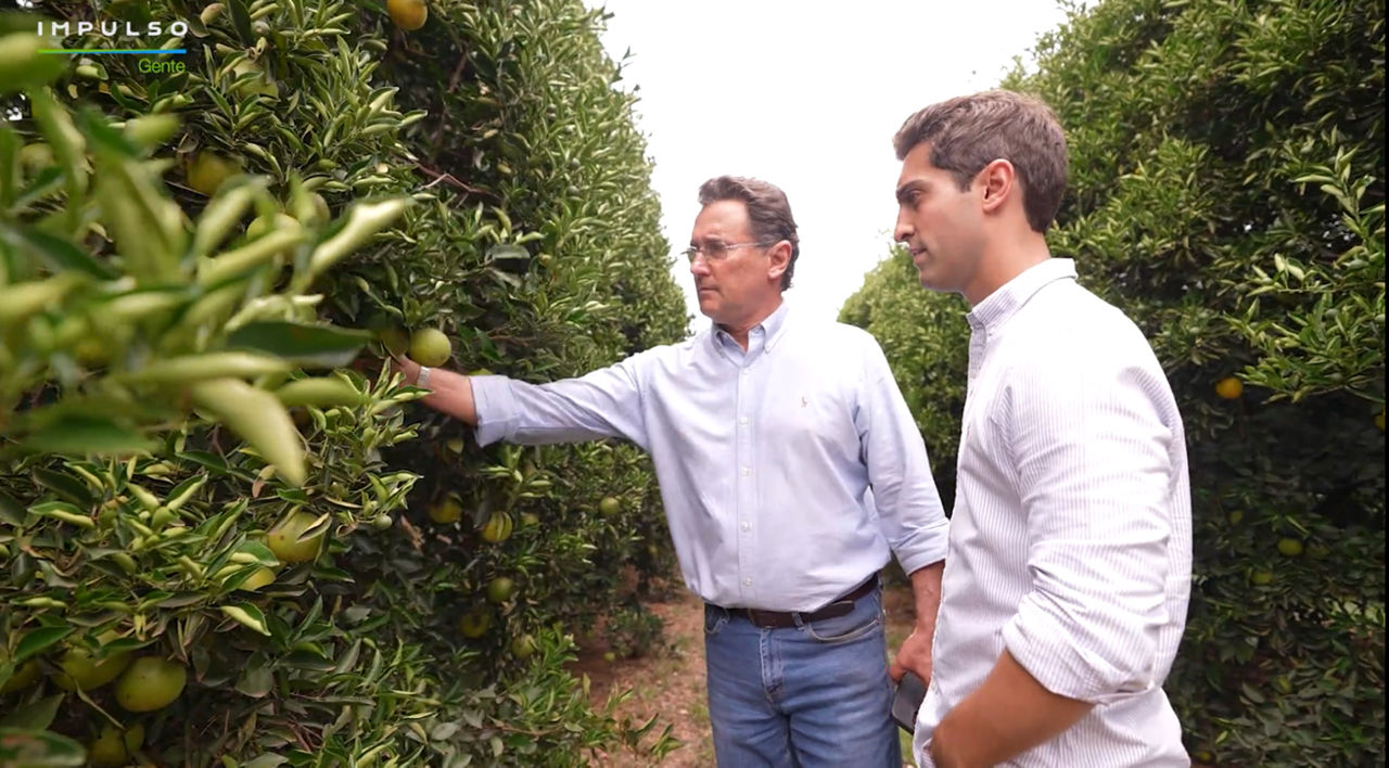  Do cultivo de laranja às lavouras de cana-de-açúcar e seringueiras, a história da família Vidotti é marcada por tradição, trabalho e inovação no campo. 